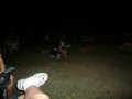 Thumbs/tn_P1010918.jpg