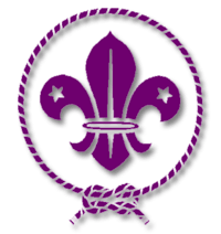 World Scout Badge